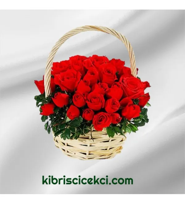 Sepette 51 Kırmızı Gül
